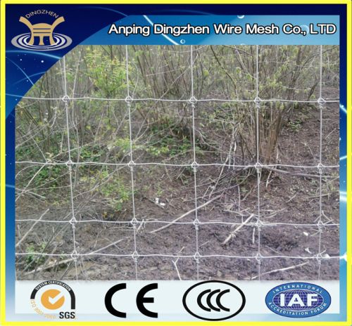 High Security and Cheap Cattle Fence, Brand Name : Dingzhen