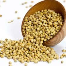 Coriander Seeds