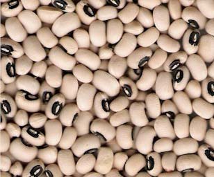 Black Eyed Peas