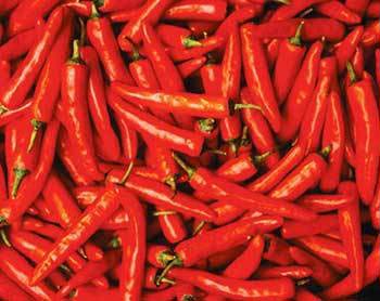 Fresh Red Chilli