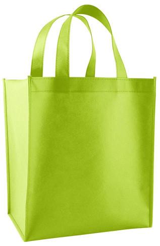 Nonwoven Shopping Bag