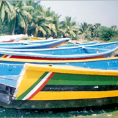 Fibre Fishing Boats