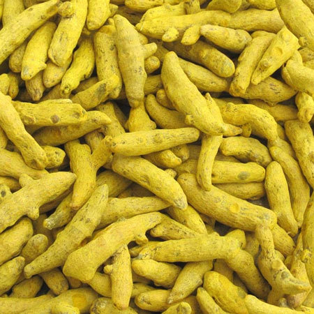 Natural Turmeric Finger, Color : Green