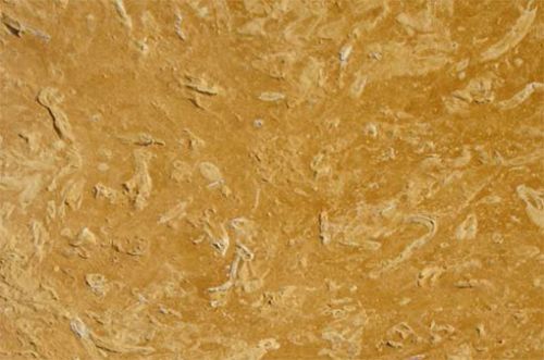 Flowery Gold Sandstone