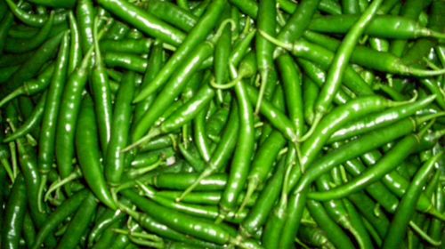 Fresh green chilli, Application : Cooking