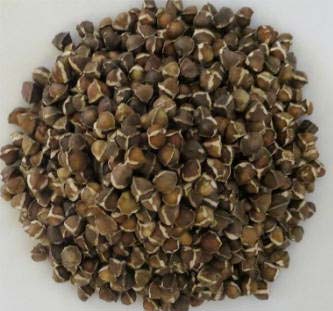 Moringa seeds, Purity : 99%