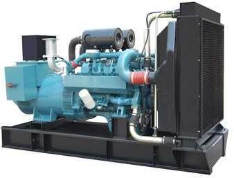 Doushan Diesel Generator Set