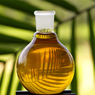 Palm Kernel Oil