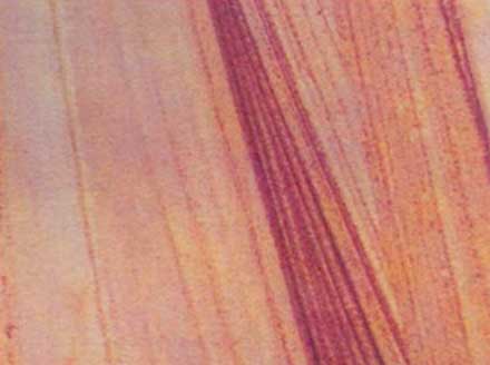 Plain Polished Teak Sandstone, Form : Cut-to-Size