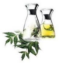 Loose Neem Oil, Extraction Type : Manual