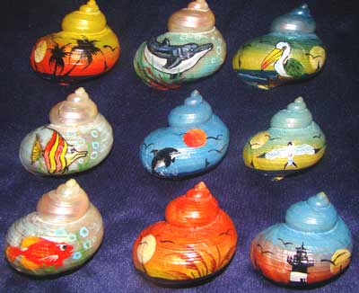 Painted Sea Shells