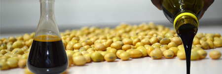 Biodiesel Acid Oil, For Cooking, Purity : 99%