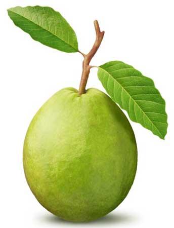 Guava