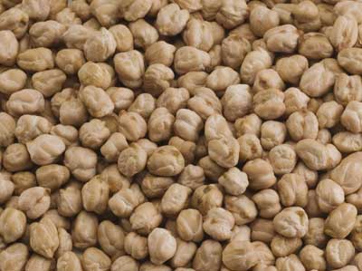 White Chickpeas