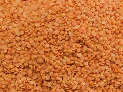 Lentils, Texture : Soft