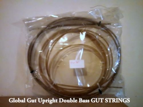 Polished Bass Gut String