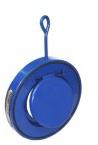 Swing Check Valves