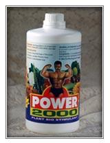 Power 2000 Amino Acids