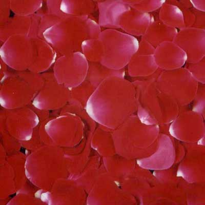 Dry Rose Petals, Packaging Type : Natural Pink