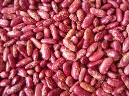 Red Speckled Kidney Beans