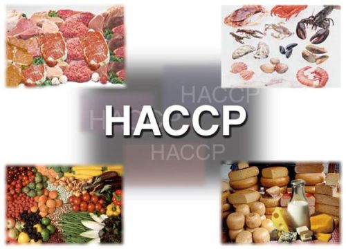 HACCP Certification