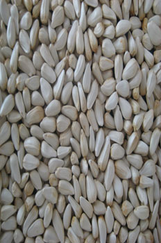 Safflower Seed