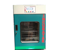 Convection Incubator
