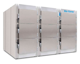 Nine Bodies Mortuary Chamber