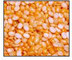 Moong dal, Application : Cooking
