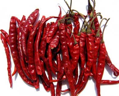 Common Dried Red Chilli, Packaging Type : Gunny Bags, Jute Bag, PP Bag