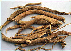 Withania Somnifera (Ashwagandha Extract)