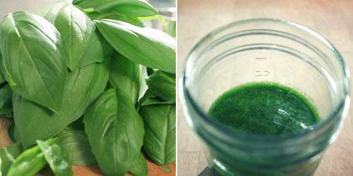 Basil Oil