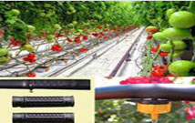 Drip Irrigation System