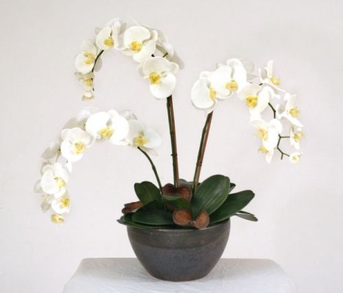 Earthenware Cream-White Orchid Plant Artificial Flower
