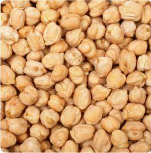 Kabuli Chickpeas