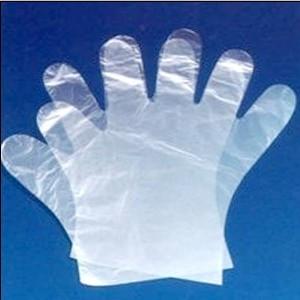 PE Disposable Gloves, Packaging Type : transparent