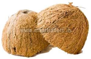 Coconut Shells