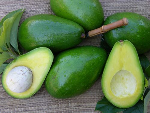 Avacado