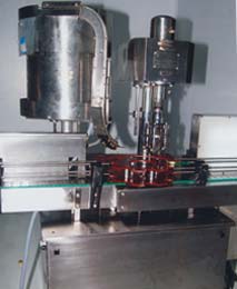 Automatic Bottle Filling & Cap Sealing Machine