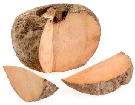 Fresh Yam