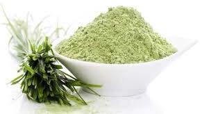 Wheatgrass Powder