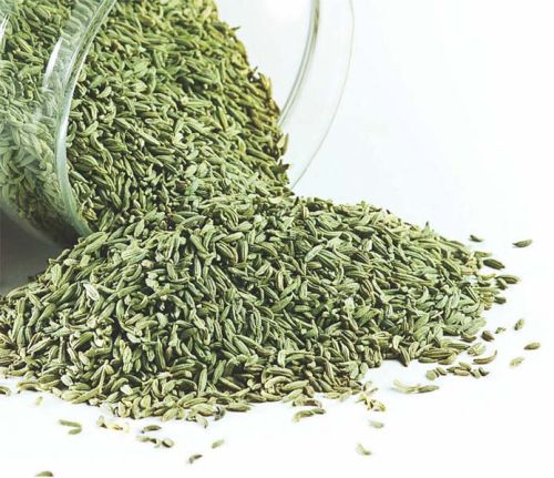Fennel seeds, Packaging Size : 100Gm, 250Gm