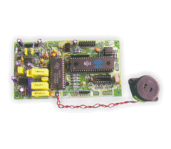 Weighing Scale Motherboard