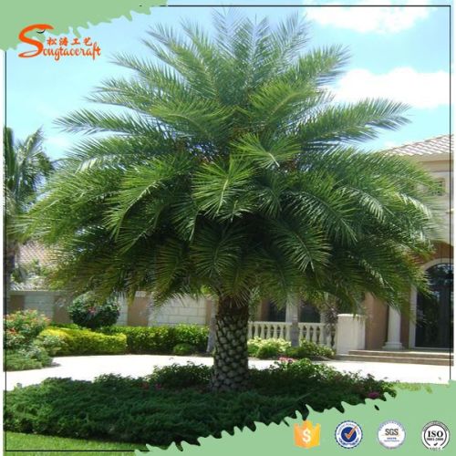 Fiberglass Guangzhou Songtao Wholsale Artificial Palm Tree