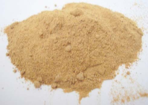 Emblica Officinalis Powder