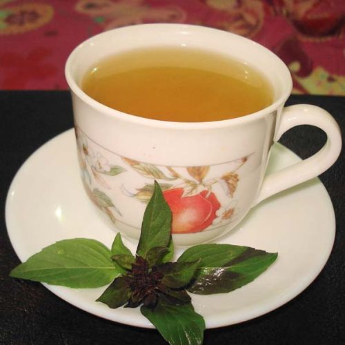 Tulsi Tea