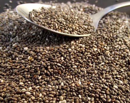 Chia seeds, Shelf Life : 1year