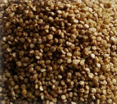 Quinoa Seeds