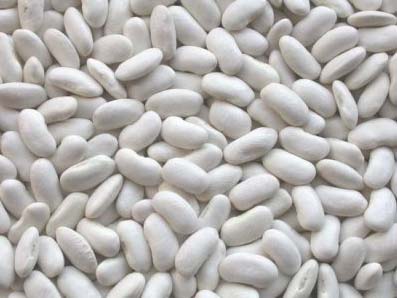 White Alubia Beans