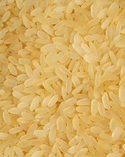 Hard Organic Parboiled Rice, Variety : Medium Grain